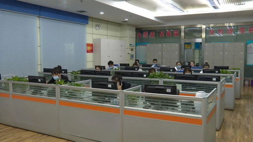 石河子市優化數字城管體系，數字技術賦能城市服務更便捷高效